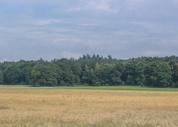 Dom wakacyjny Stevenshof