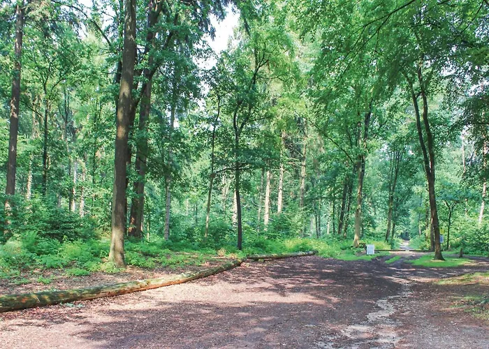 Stevenshof Tatil Evi *