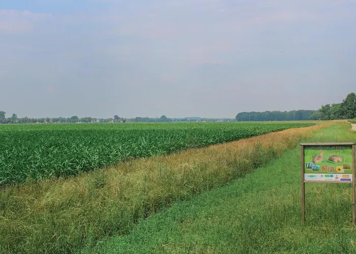 Stevenshof Tatil Evi